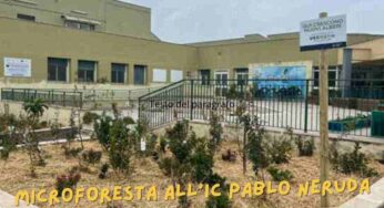 Una scuola sempre più green: nasce la microforesta a Roma